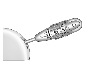 Modèle bicorps illustré