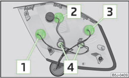 Feu arrière : emplacement des ampoules